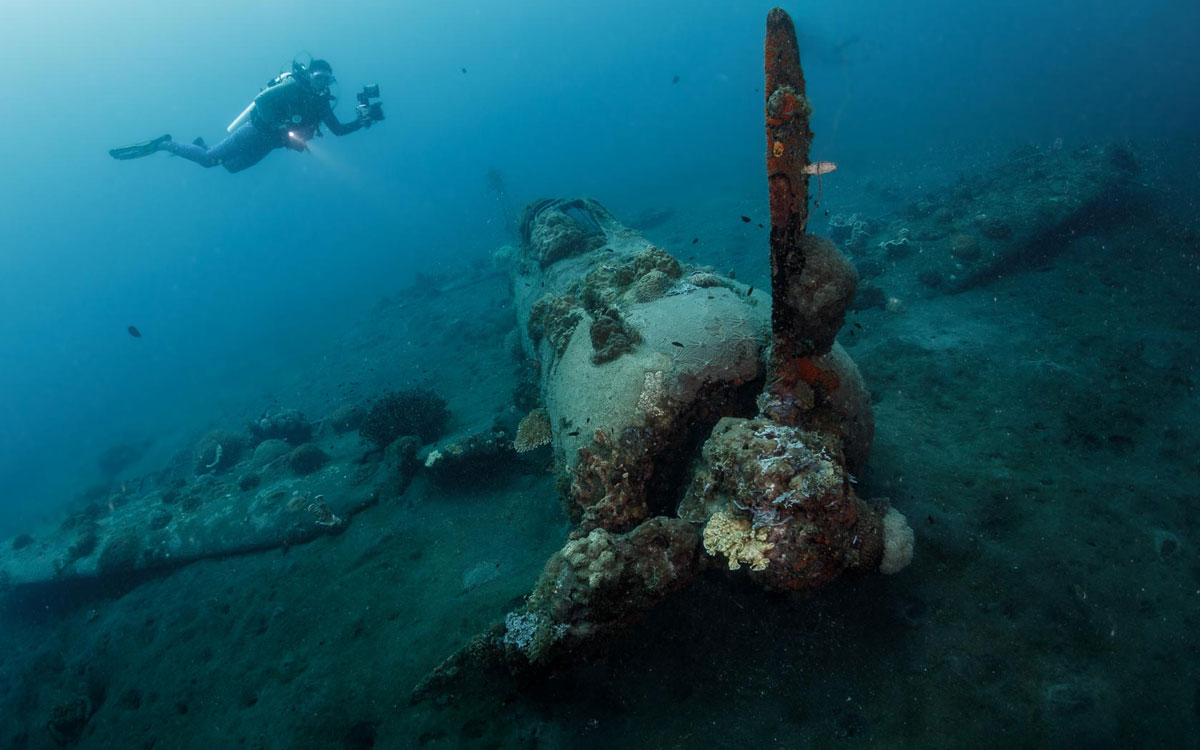 Dive specials ffig