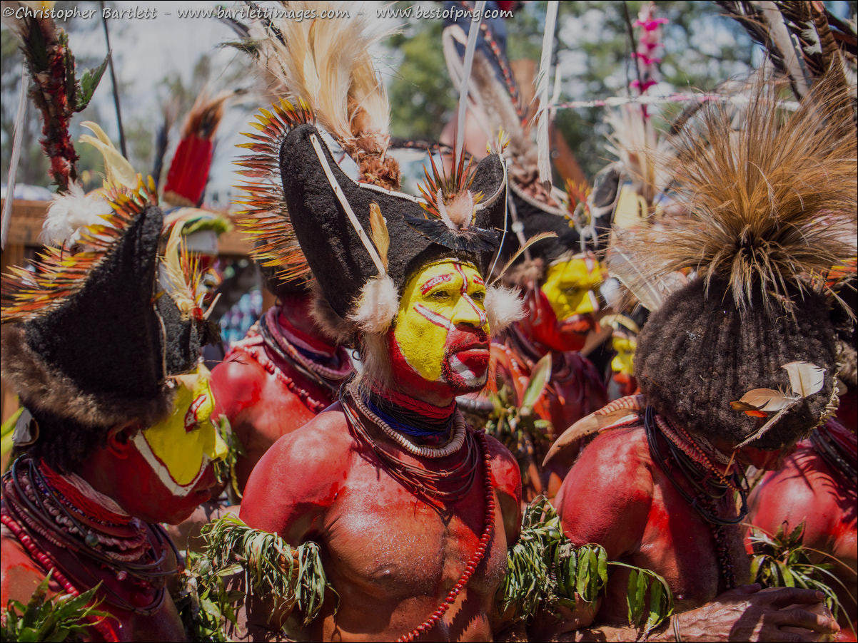 Mt hagen festival tours ffig
