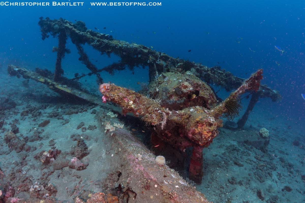 Rapopo diving ffig